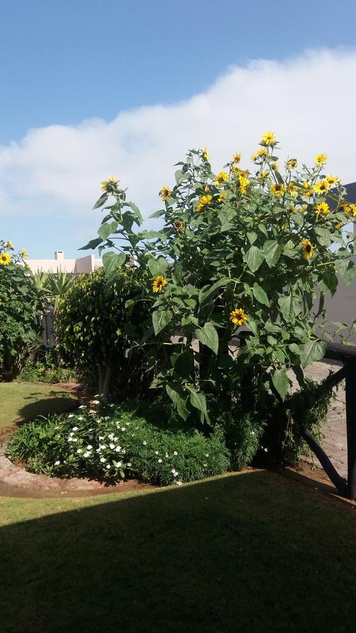 Sunflower Self-Catering Walvis Bay Exterior foto